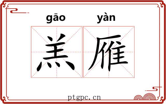 羔雁