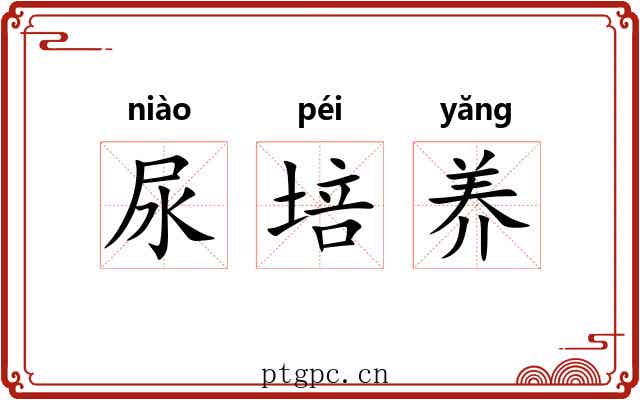 尿培养