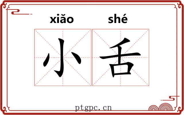 小舌