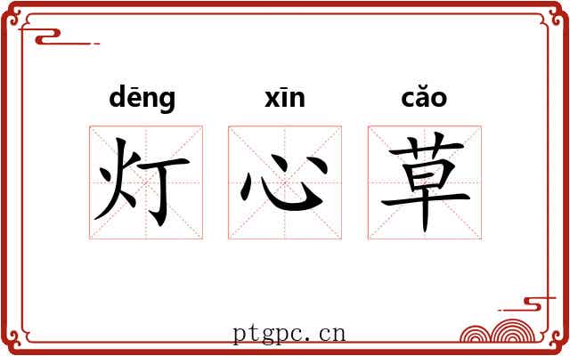 灯心草