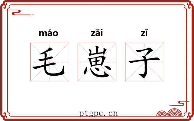 毛崽子 毛崽子