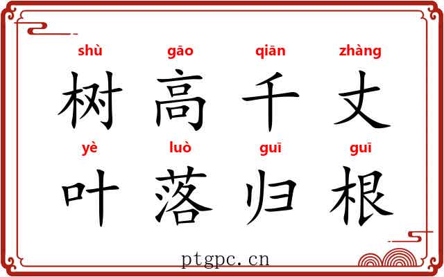 树高千丈,叶落归根 树高千丈,叶落归根