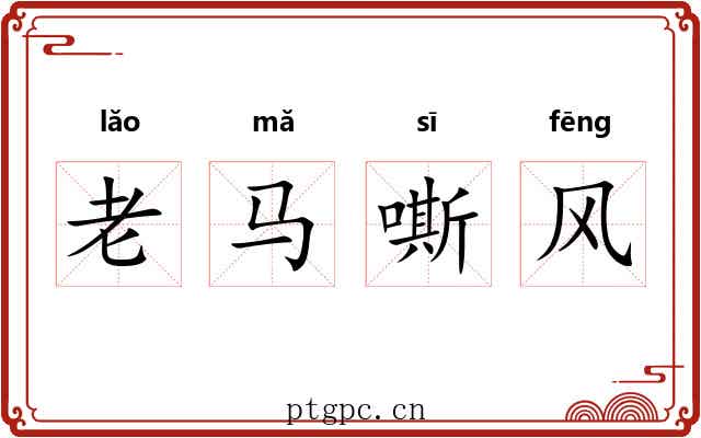 老马嘶风 老马嘶风