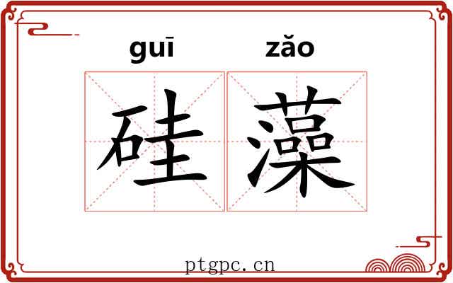 硅藻