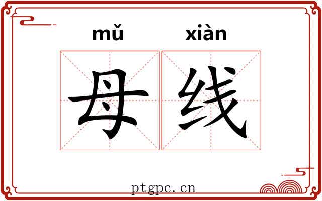 母线