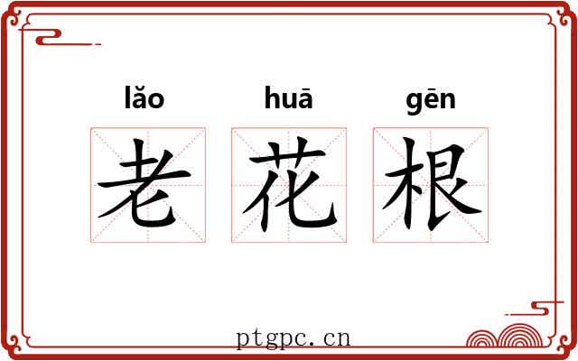 老花根 老花根