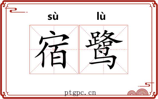 宿鹭