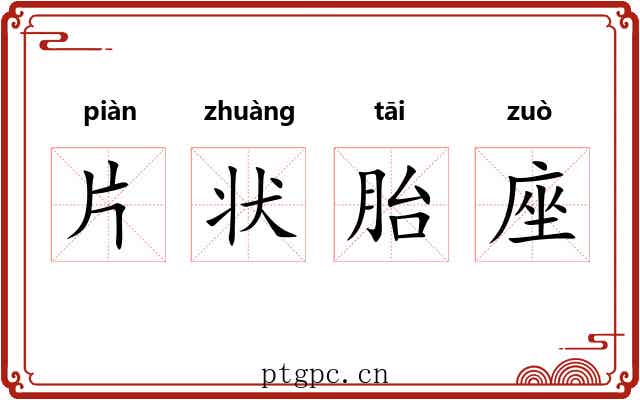 片状胎座