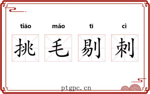 挑毛剔刺 挑毛剔刺