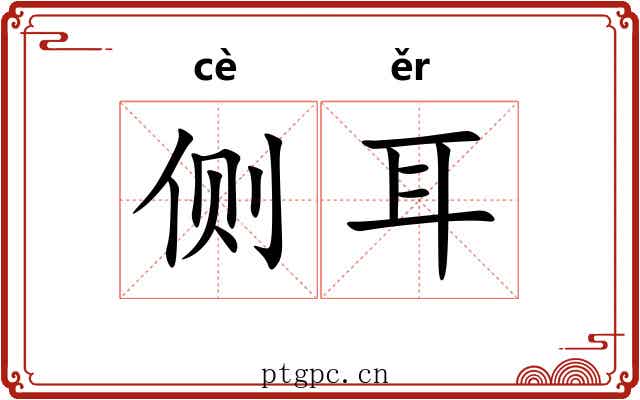 侧耳 侧耳