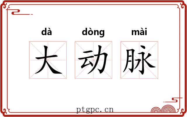 大动脉
