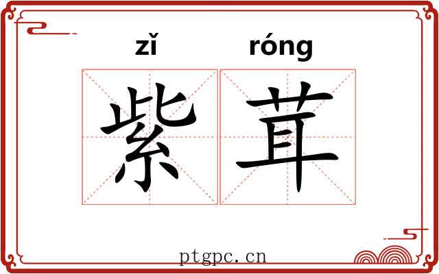 紫茸