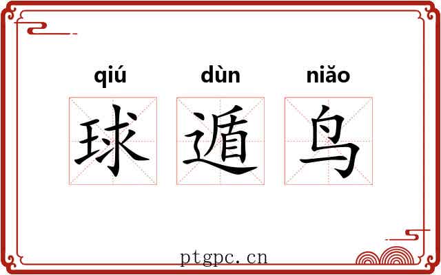 球遁鸟