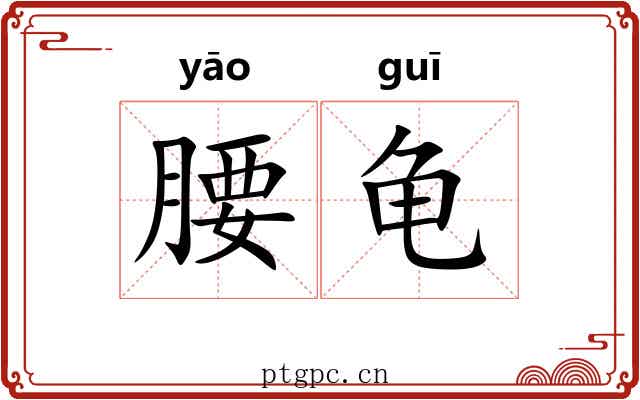 腰龟