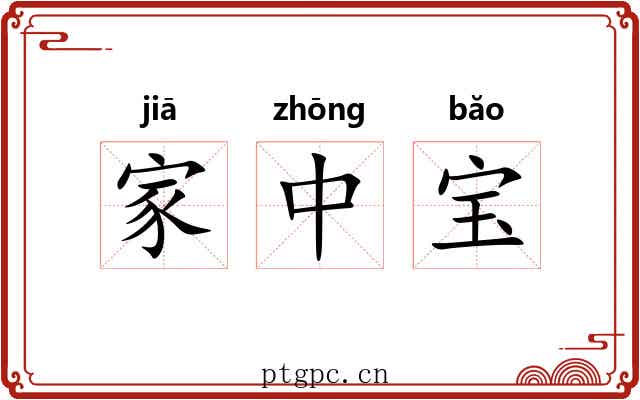 家中宝 家中宝