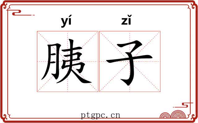 胰子