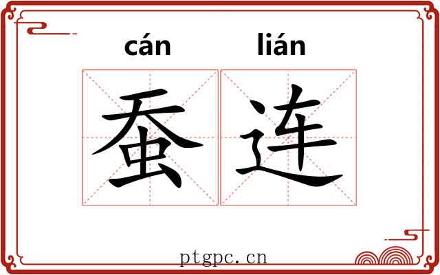 蚕连 蚕连