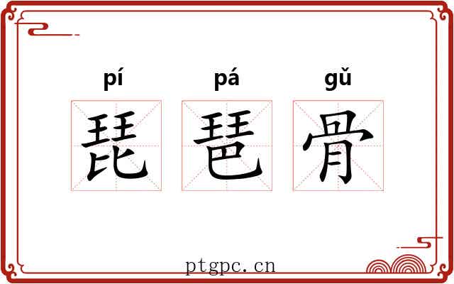 琵琶骨