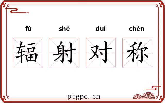 辐射对称 辐射对称