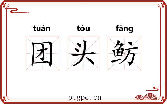 团头鲂 团头鲂