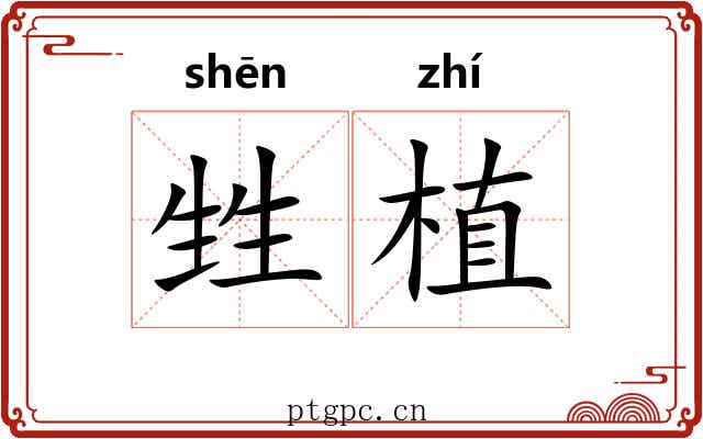 甡植