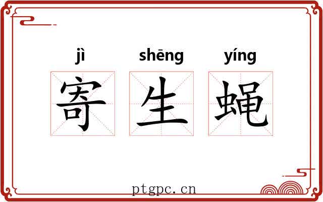 寄生蝇