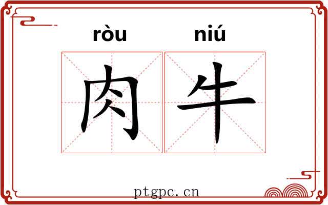 肉牛 肉牛