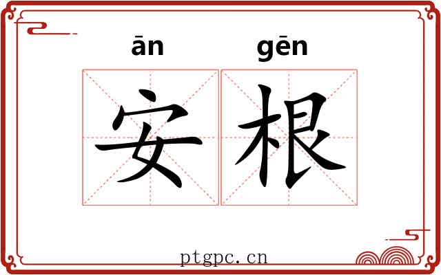 安根 安根