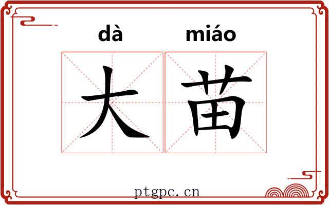 大苗