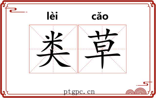 类草