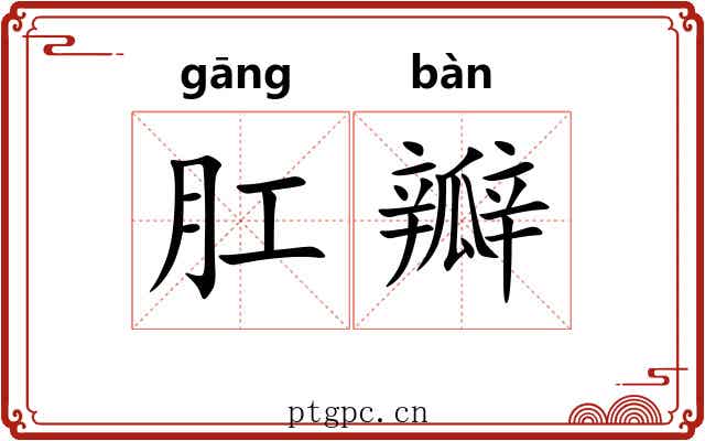 肛瓣