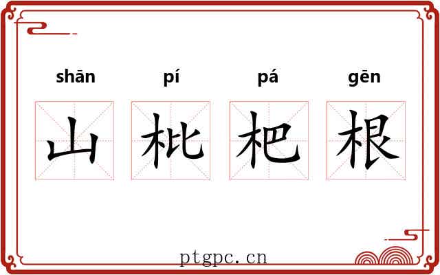 山枇杷根