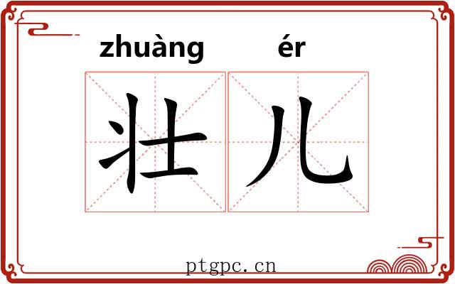 壮儿