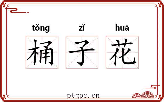 桶子花 桶子花