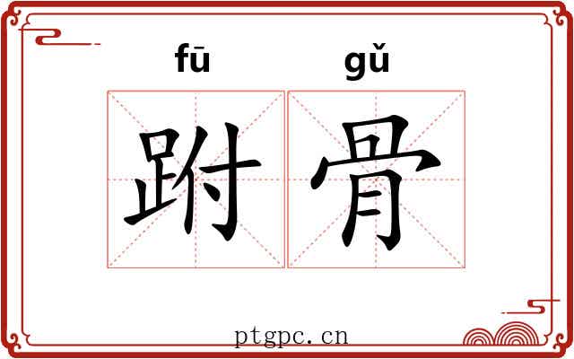 跗骨