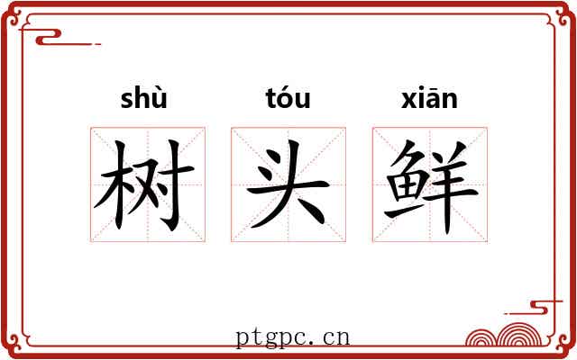 树头鲜