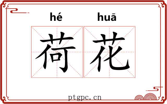 荷花