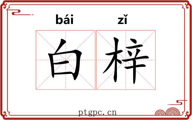 白梓