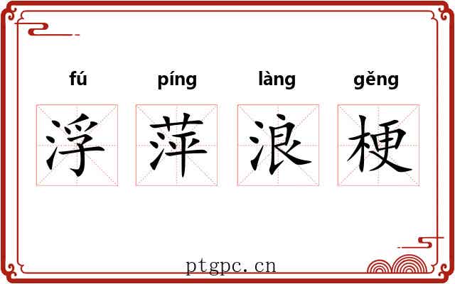 浮萍浪梗