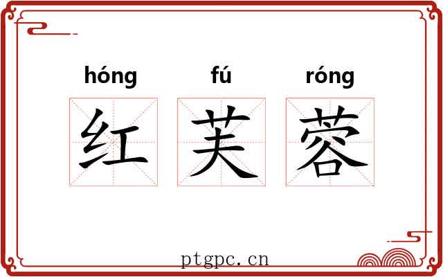红芙蓉