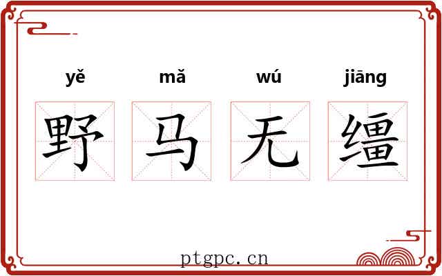 野马无缰 野马无缰