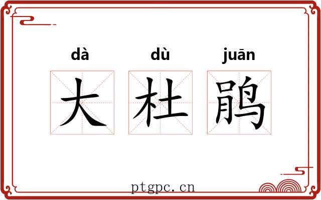 大杜鹃 大杜鹃