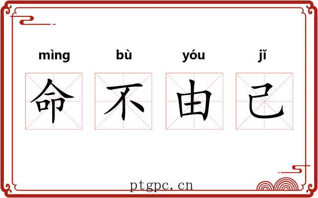 命不由己