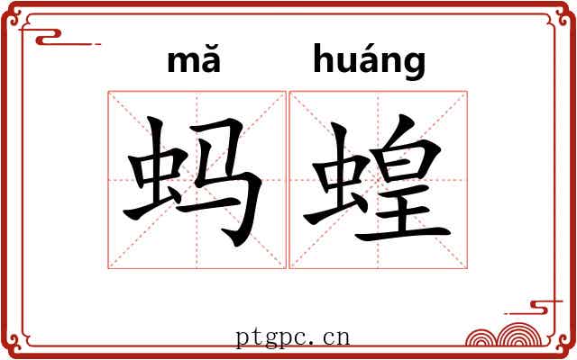 蚂蝗