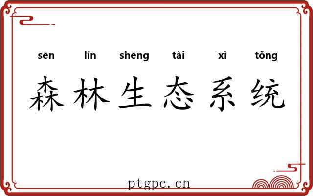 森林生态系统