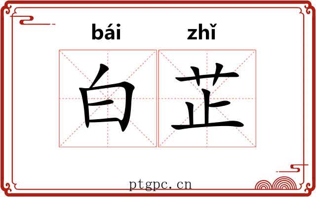白芷