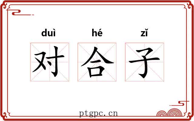 对合子