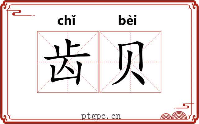 齿贝