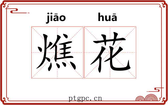 燋花 燋花