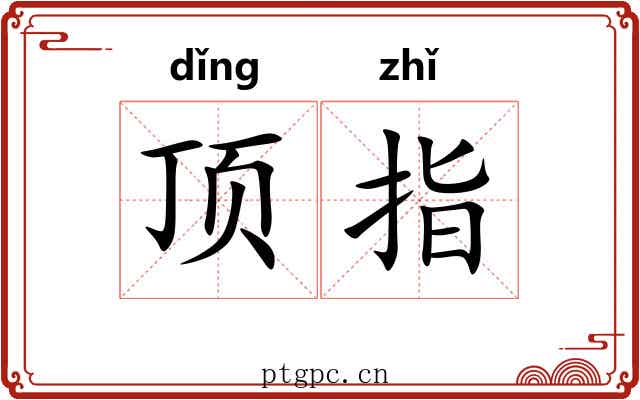 顶指 顶指